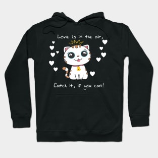 Love is in the air , catch it if you can! Hoodie